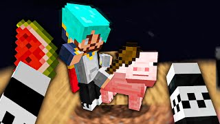 MINECRAFT VR EM 1 BLOCO com MEU AMIGO [upl. by Initsed879]