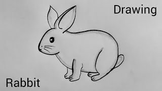 How To Draw A Rabbit Step By Step  Very Easy Rabbit Drawing  Rabbit Pencil Sketch art [upl. by Erodisi]