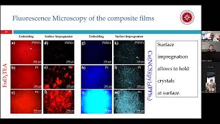 Colorimetric Mechanical Sensors Based PolymerParticle Systems [upl. by Eldreeda]