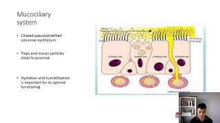 2 Humidification therapy [upl. by Eceirtal]