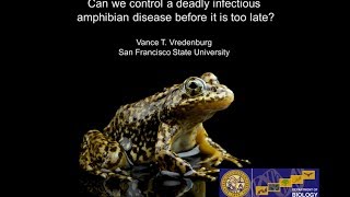 Moutain YellowLegged Frog presented by Dr Vance Vredenburg [upl. by Scholz994]