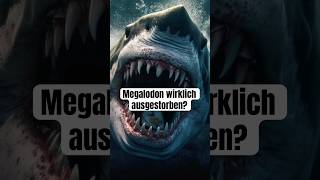 Ist der Megalodon ausgestorben wissenswert biologie natur fakten megalodon mythen tiere [upl. by Enilrad]