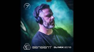 Sensient Best of 2018 Zenon DJ Mix [upl. by Johnna]