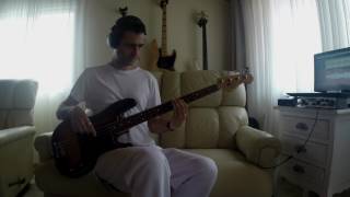 Les Irresistibles  My Year is a Day Bass Cover [upl. by Nadya]