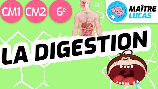 La digestion CM1  CM2  6ème  cycle 3  Sciences et technologie [upl. by Tirza]