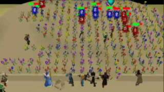 RuneScape Flower Bombing  201007 [upl. by Eirrod458]