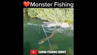 🎣 FISHING a Frog Lure For BIG CATFISH 🐸  fishing fish silure [upl. by Appilihp]