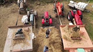 Warrenpoint amp Burren Vintage Threshing Lawsons Farm Sept 2024 short version [upl. by Emerick]