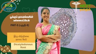 Anatomy of Flowering Plants  Part 8  Dicotyledonous Roots  NEET Tamil  NEET Biology [upl. by Laurianne]