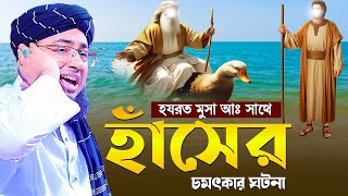 হযরত মুসা আঃ সাথে হাঁসের চমৎকার ঘটনা  mufti jahirul islam faridi waz [upl. by Conley439]