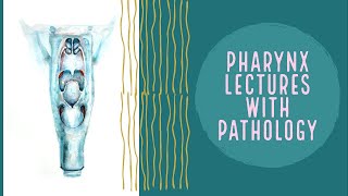 PAROTID ABSCESS explanation PHARYNX lecture 17 [upl. by Saideman]