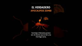 Parte 1 El verdadero apocalipsis zombi [upl. by Georgia836]