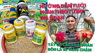 HỨƠNG DẪN KINH NGHIỆM BÓN PHÂN CHĂM LAN CATTLEYA SINH TRỬƠNG VÀ RA HOA HIỆU QỦA TỪ AZ [upl. by Bouley]