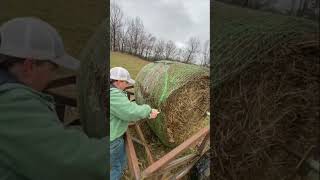 Throwback to our DIY hay bale unroller Would you use one of these welding weld fyp diy reels [upl. by Htebazileyram]