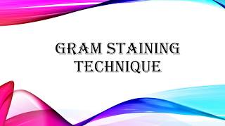 Gram Staining Technique and its Details  Microbiology with Sumi [upl. by Kurtz]