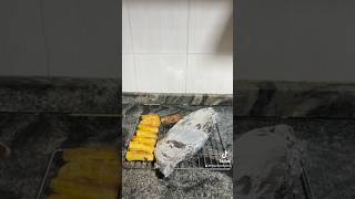 Grilled plantain and Fish grilledfish plantains yotubeshorts [upl. by De]