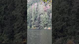 Squamish lake Canada BC [upl. by Coulombe]