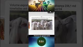 VEJA O QUE FOI DESTAQUE NO AGRONEGÓCIO DE HOJE 30102024 [upl. by Verney564]