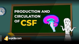 Production and Circulation of CSF  Physiology Animation Video  VLearning  sqadiacom [upl. by Hercule]