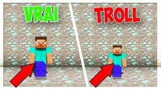 ARRIVEREZVOUS À VOIR LES DIFFÉRENCES  TROLL MINECRAFT [upl. by Rinaldo]