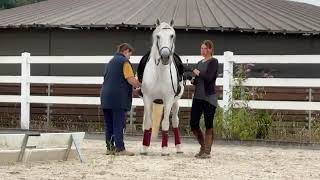 Dressurstall Gracia Online Reitschule Trailer [upl. by Adnotal]