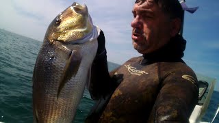 Gros Denti de 6kgChasse sous marine au Cap dAgde [upl. by Ahsiela]