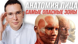 САМЫЕ ОПАСНЫЕ ЗОНЫ НА ЛИЦЕ  полное пособие по анатомии лица анатомиялица [upl. by Darya675]