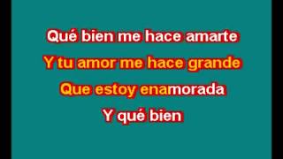 THALIA ESTOY ENAMORADO KARAOKE [upl. by Ecidnak]