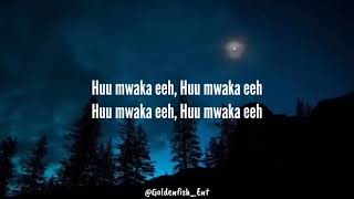 Huu mwaka lyrics  Dayoo x Rayvanny remix [upl. by Eniamraj]