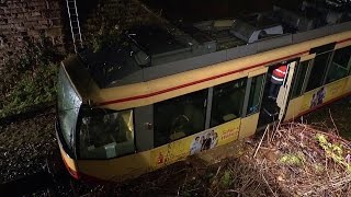 SBahn fährt in umgestürzten Baum bei Walzbachtal am 08022016 [upl. by Trawets]