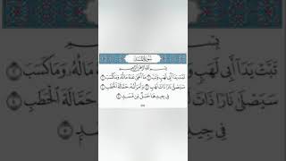 Surah Al Masad [upl. by Orteip]