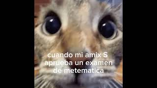 Cuando S aprueba un examen de matematicaanimeapoyoplissssssssssssssparatikitty [upl. by Harold]