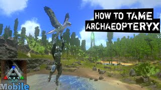 How To Tame Archaeopteryx Ark MobileS1E06 [upl. by Sinylg397]