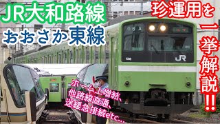 名列車で行こう 大和路編 大和路線の珍ダイヤを一挙解説！ [upl. by Herwig]