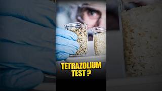 Tetrazolium Test [upl. by Lotti]