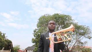 PHAETON FLUGELHORN REVIEW [upl. by Ahsimac930]