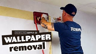 Clean Easy Wallpaper Removal Steam Removal [upl. by Eetnuahs271]