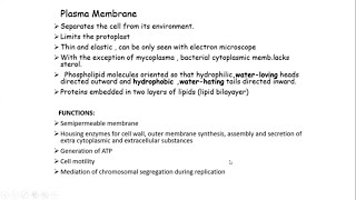 quotUnveiling the Secrets of the Bacterial Cell Membranequot [upl. by Nathanael]