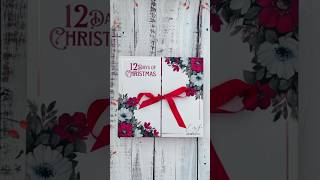 Watercolour Advent Calendar Get yours October 25th at craftamocom [upl. by Tound77]