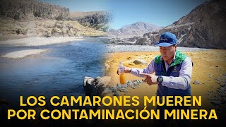 La vida se muere en el río Tambo por culpa de la contaminación minera agricultores se levantan [upl. by Einhapets58]