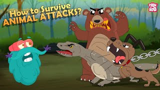 How to Survive Animal Attacks  Bear Dog Shark Komodo Dragon amp Giant Squid  The Dr Binocs Show [upl. by Holtorf]