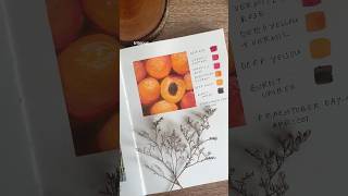 peachtober24 931 apricot gouache painting [upl. by Sheba]