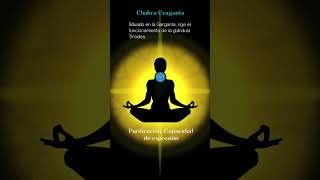 ✨SIGNIFICADO DE LOS 7 CHAKRAS PRINCIPALES Localización y función de los 7 chakras del cuerpo humano [upl. by Ladiv545]