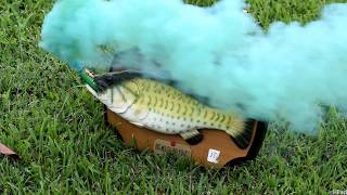 Big Mouth Billy Bass Fish Destruction [upl. by Yurt]