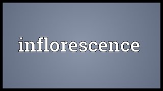 Inflorescence Meaning [upl. by Ylnevaeh557]