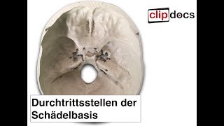 Durchtrittsstellen der Schädelbasis clipdocsde [upl. by Onilecram]