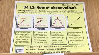 B4 Rate of Photosynthesis REQUIRED PRACTICAL [upl. by Thomas]