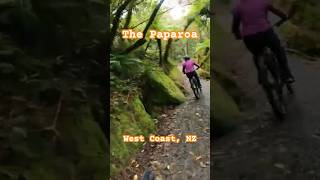 The Paparoa Trail from Punakaiki to the first hut mtb travel bike [upl. by Hammad]