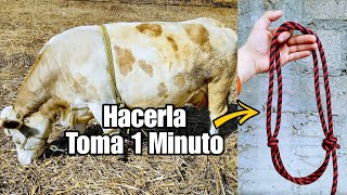 La GAMARRA “JAQUIMA” Más RÁPIDA y FÁCIL de HACER Para VACAS [upl. by Vesta]