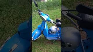 VESPA VESPEIRO DINELLI  O UNICO CANAL DE TUTORIAL DO BRASIL [upl. by Marbut]